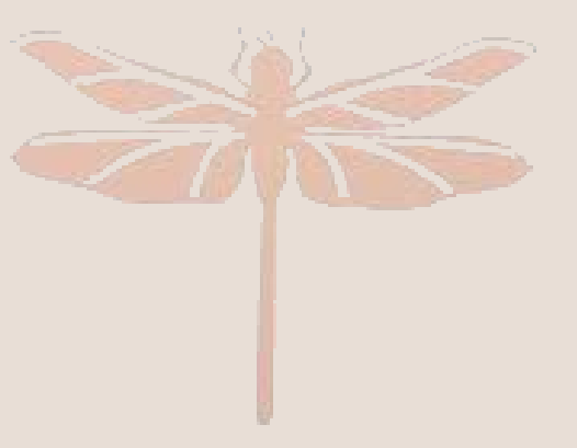 Logotipo Larissa Teófilo